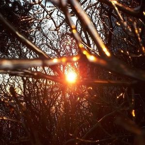 Meet your Posher, Cassie